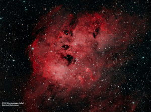 IC410 Kaulquappen Nebel